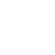 1 - Oxford Polo Club Logo