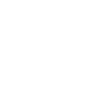 12 - San Logo