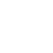 15 - Italavia Logo