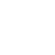 19 - Auditar Logo